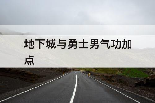 地下城与勇士男气功加点