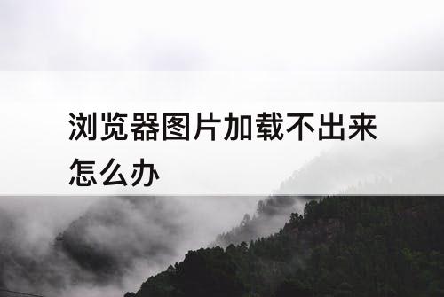 浏览器图片加载不出来怎么办