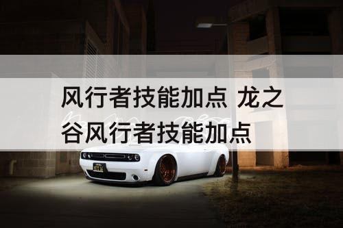风行者技能加点 龙之谷风行者技能加点