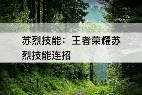 苏烈技能：王者荣耀苏烈技能连招