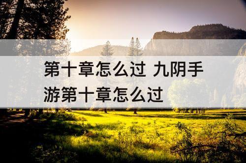 第十章怎么过 九阴手游第十章怎么过
