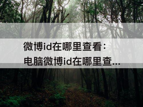微博id在哪里查看：电脑微博id在哪里查看