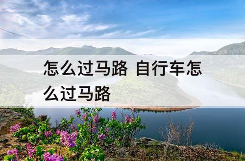 怎么过马路 自行车怎么过马路