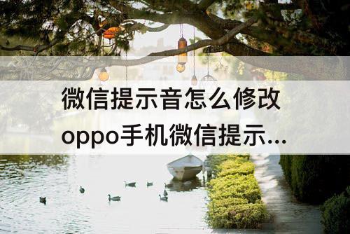 微信提示音怎么修改 oppo手机微信提示音怎么修改