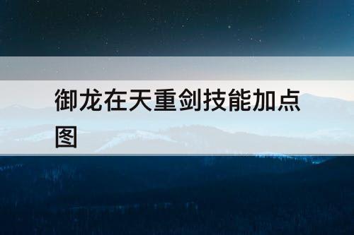 御龙在天重剑技能加点图