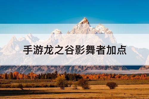 手游龙之谷影舞者加点