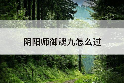 阴阳师御魂九怎么过