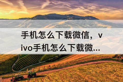 手机怎么下载微信，vivo手机怎么下载微信表情包