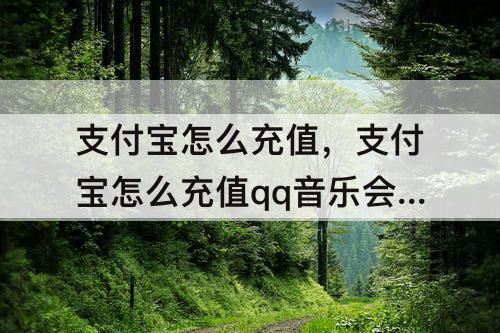 支付宝怎么充值，支付宝怎么充值qq音乐会员