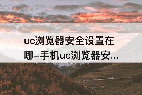 uc浏览器安全设置在哪-手机uc浏览器安全设置在哪