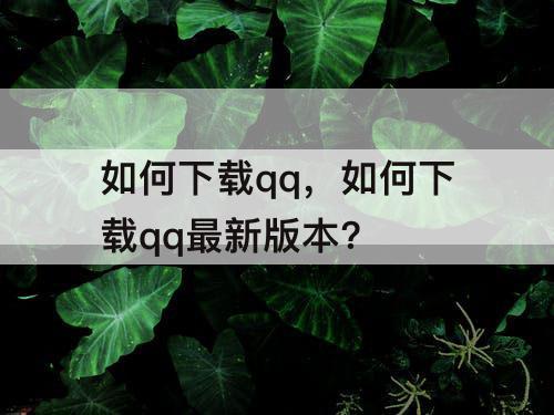 如何下载qq，如何下载qq最新版本?