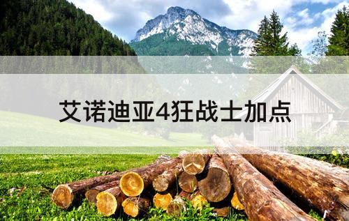 艾诺迪亚4狂战士加点