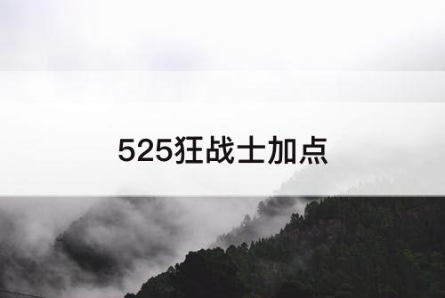 525狂战士加点