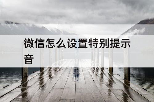 微信怎么设置特别提示音