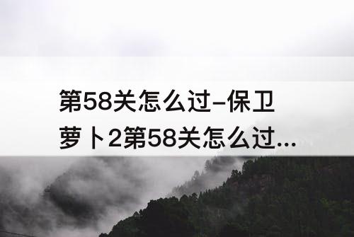 第58关怎么过-保卫萝卜2第58关怎么过?