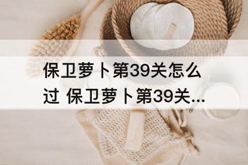保卫萝卜第39关怎么过 保卫萝卜第39关怎么过图解