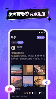 声岛  v1.0.0图3