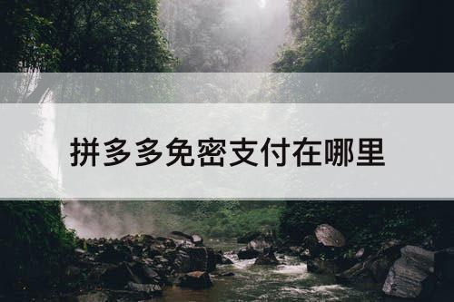 拼多多免密支付在哪里