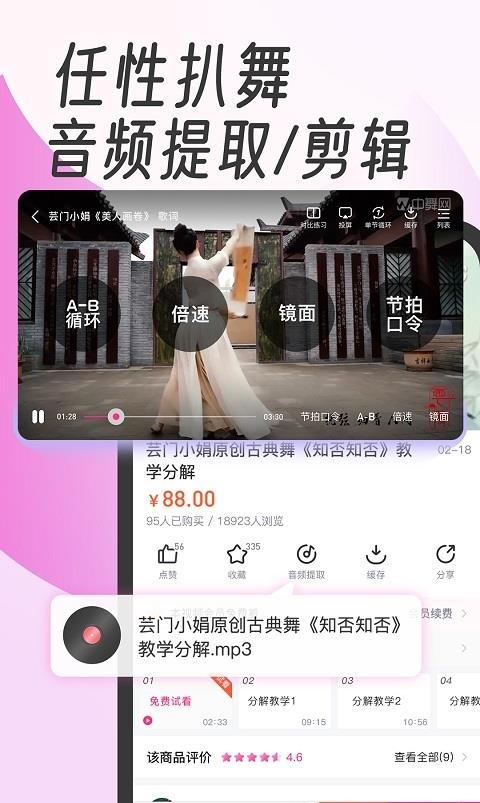 中舞网手机版