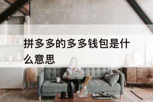 拼多多的多多钱包是什么意思