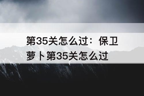 第35关怎么过：保卫萝卜第35关怎么过