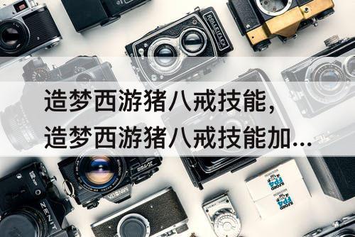 造梦西游猪八戒技能，造梦西游猪八戒技能加点