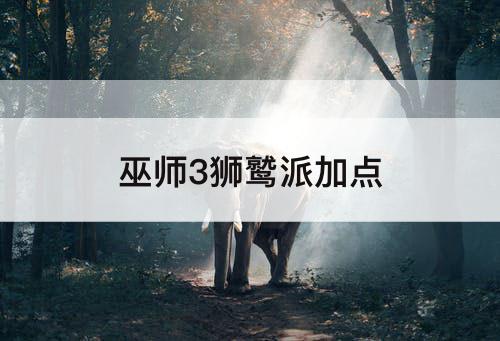 巫师3狮鹫派加点