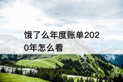 饿了么年度账单2020年怎么看