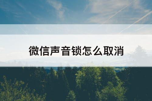 微信声音锁怎么取消