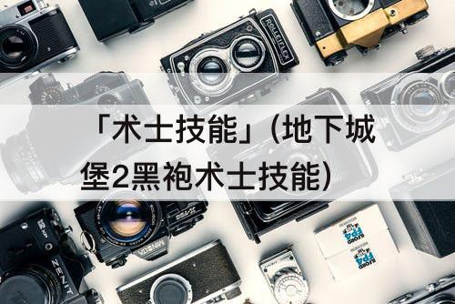 「术士技能」(地下城堡2黑袍术士技能)