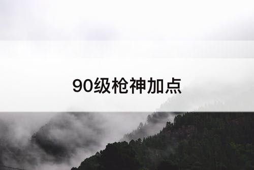 90级枪神加点
