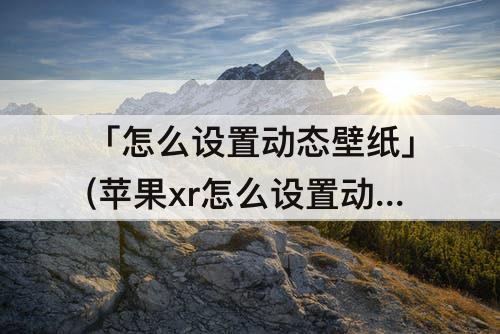 「怎么设置动态壁纸」(苹果xr怎么设置动态壁纸带声音)