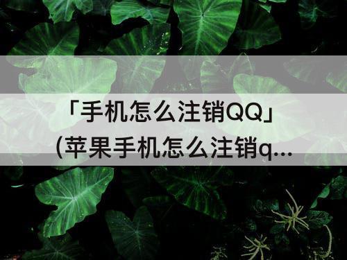 「手机怎么注销QQ」(苹果手机怎么注销qq空间)