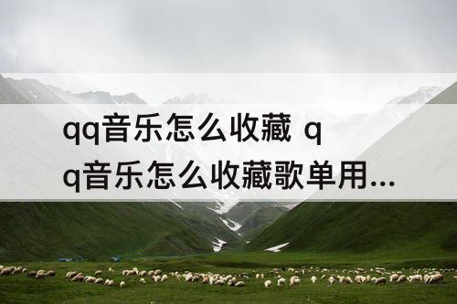 qq音乐怎么收藏 qq音乐怎么收藏歌单用小爱同学播放