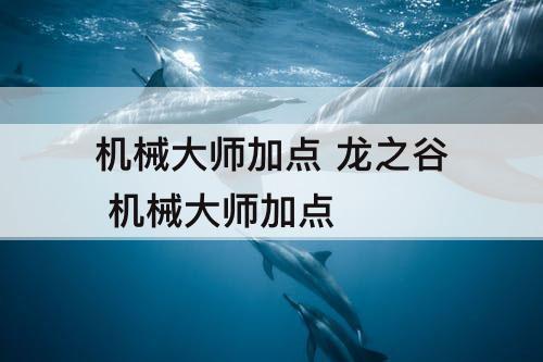 机械大师加点 龙之谷 机械大师加点