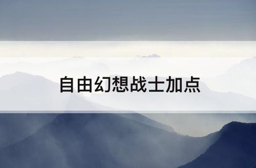 自由幻想战士加点