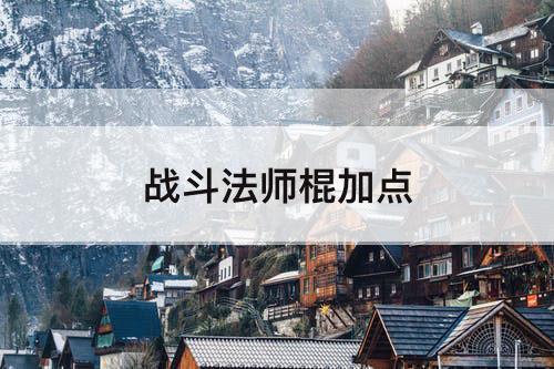 战斗法师棍加点