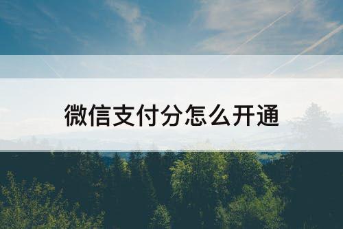 微信支付分怎么开通