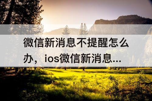 微信新消息不提醒怎么办，ios微信新消息不提醒怎么办