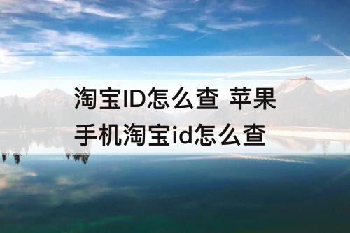 淘宝ID怎么查 苹果手机淘宝id怎么查