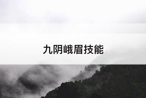 九阴峨眉技能