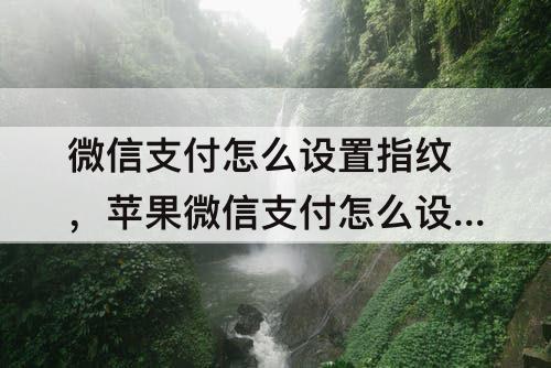 微信支付怎么设置指纹，苹果微信支付怎么设置指纹支付功能