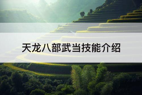 天龙八部武当技能介绍