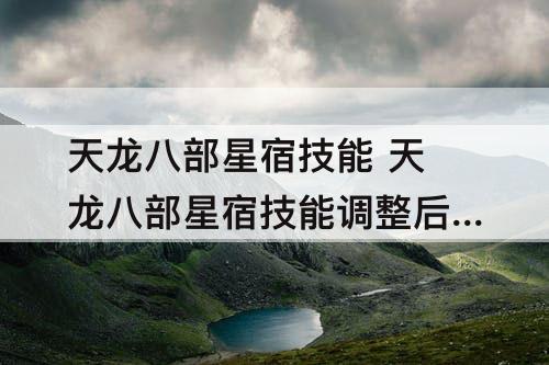 天龙八部星宿技能 天龙八部星宿技能调整后怎么样