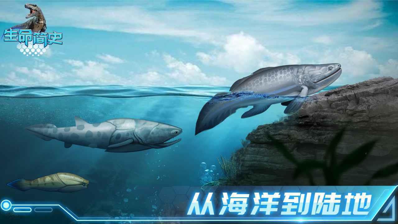 生命简史  v1.6.6图3