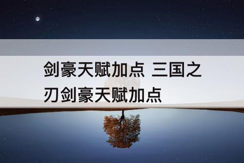 剑豪天赋加点 三国之刃剑豪天赋加点