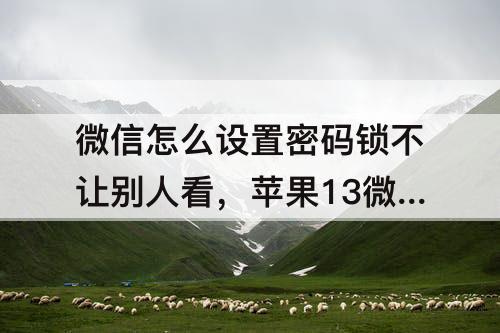 微信怎么设置密码锁不让别人看，苹果13微信怎么设置密码锁不让别人看