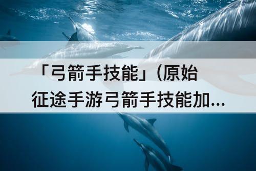 「弓箭手技能」(原始征途手游弓箭手技能加点)