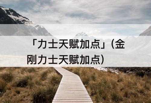 「力士天赋加点」(金刚力士天赋加点)