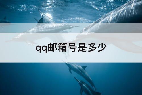 qq邮箱号是多少